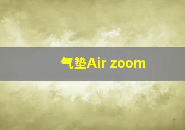 气垫Air zoom